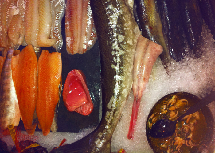 The Swedish Chef: Fresh fish